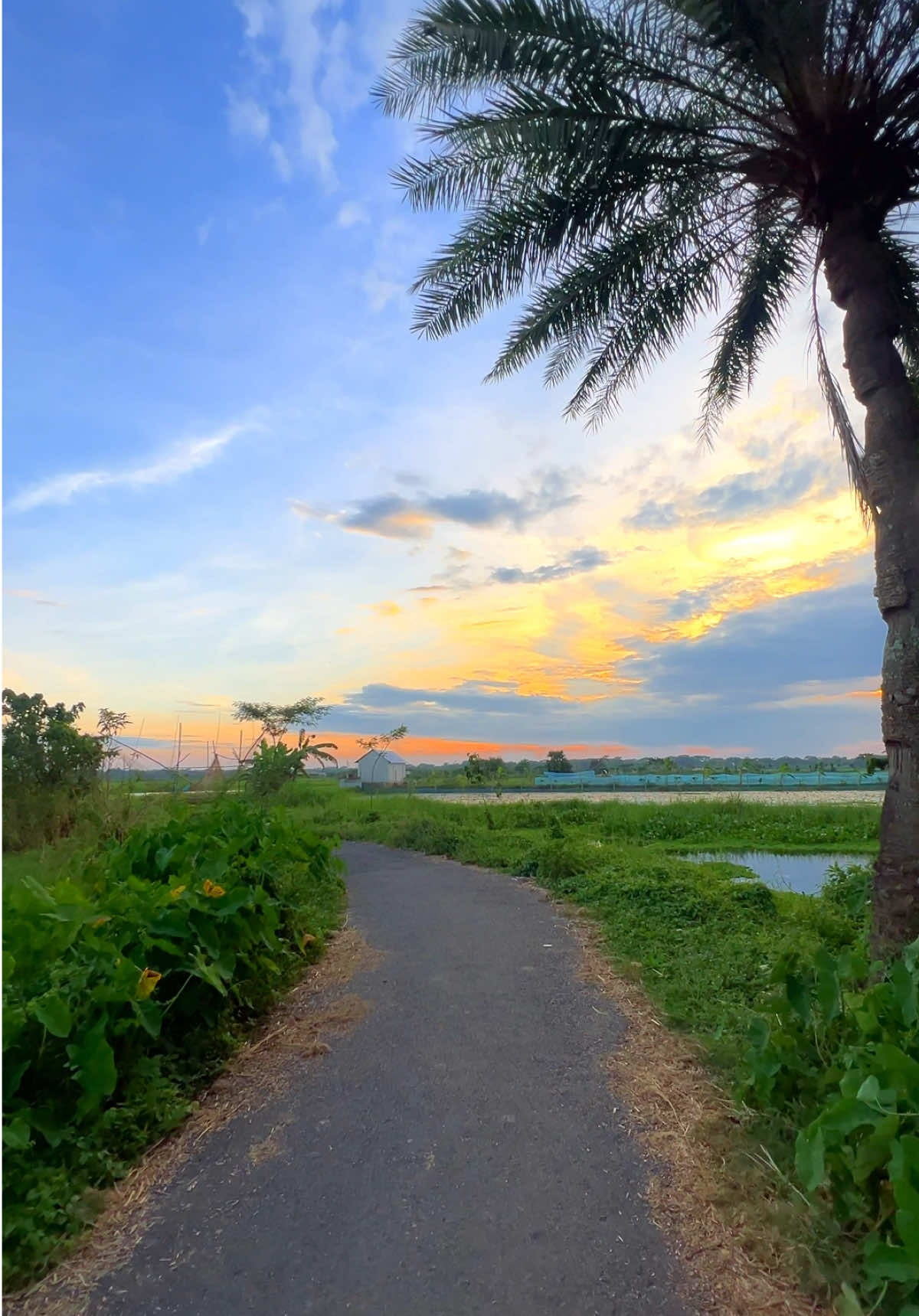 অদ্ভুত জগৎ 😊 #foryou #foryoupage #fyp #nature #bangladesh🇧🇩 