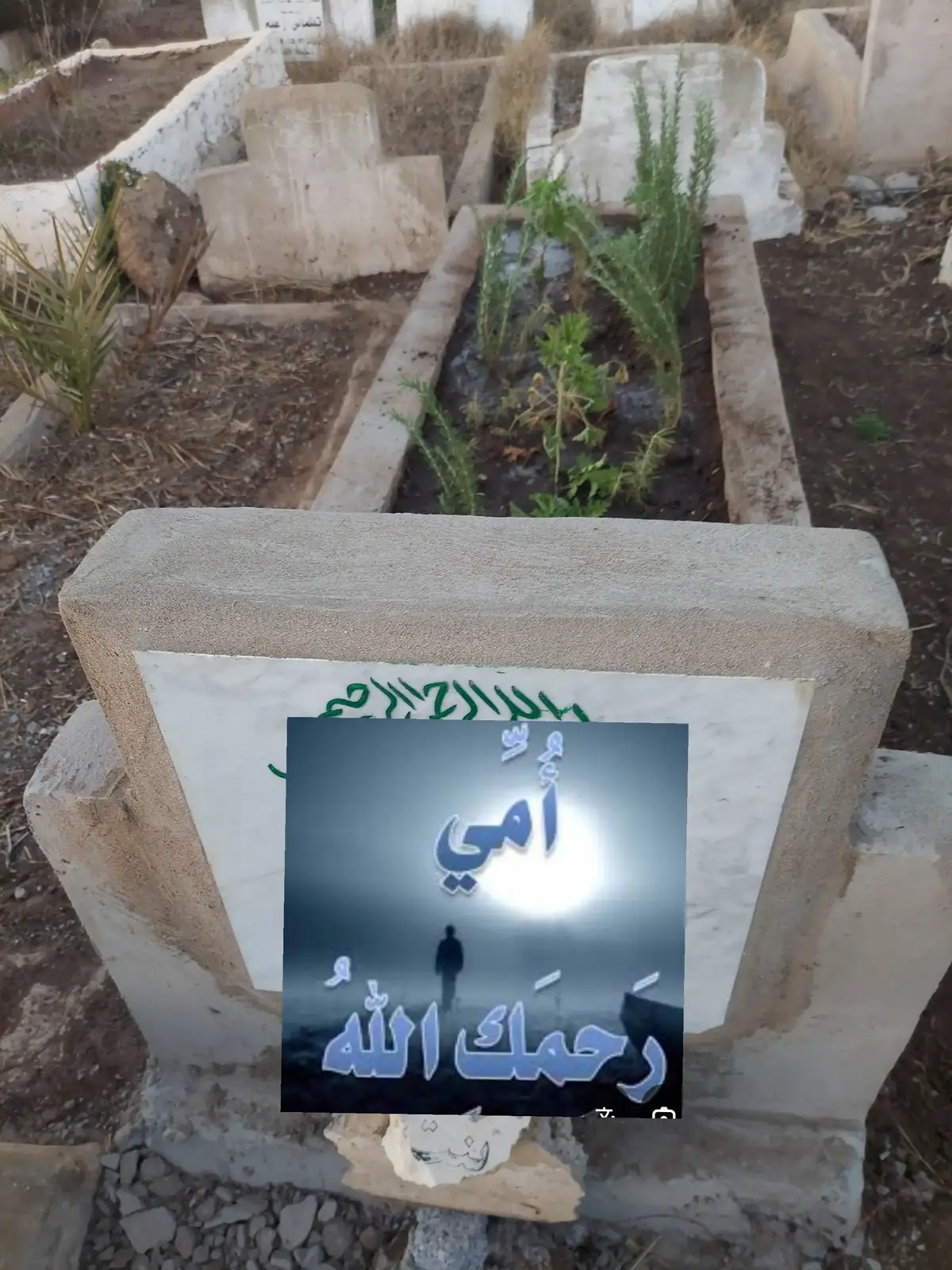 اللهم ارفع عنها كل كرب وبلاء، واجعل قبرها روضة من رياض الجنة. اللهم ارزقها شفاعة نبيك محمد صلى الله عليه وسلم. اللهم اجعلها من السابقين إلى جنات النعيم. وعن الشيخ الشعرواي: 