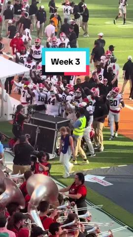 UGA Football Week 3 Haircuts #ugafootball #georgiafootball #barber #godawgs #fyp 