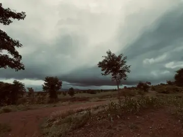 #កូននាក់ចម្ការ🌿👨🏽‍🌾 #សំឡូតផ្ទះខ្ញុំ🏘️♥️ 