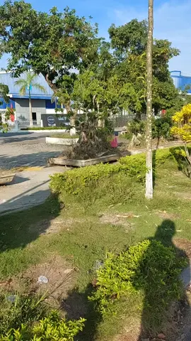 cảnh đẹp #noithatgiadungcanhdepmoingay@NÔI THẤT & GIA DUNG 