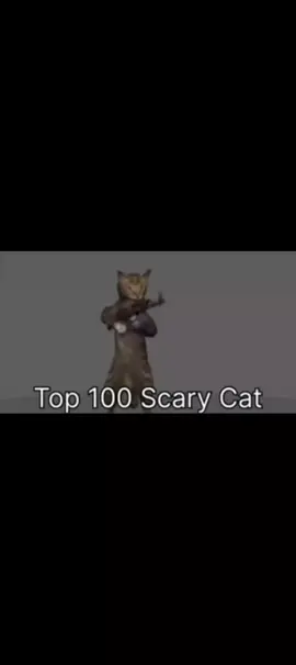 top 100 scary cat 🐈 part 2 #fypppppppppppppppppppppppppppppp 