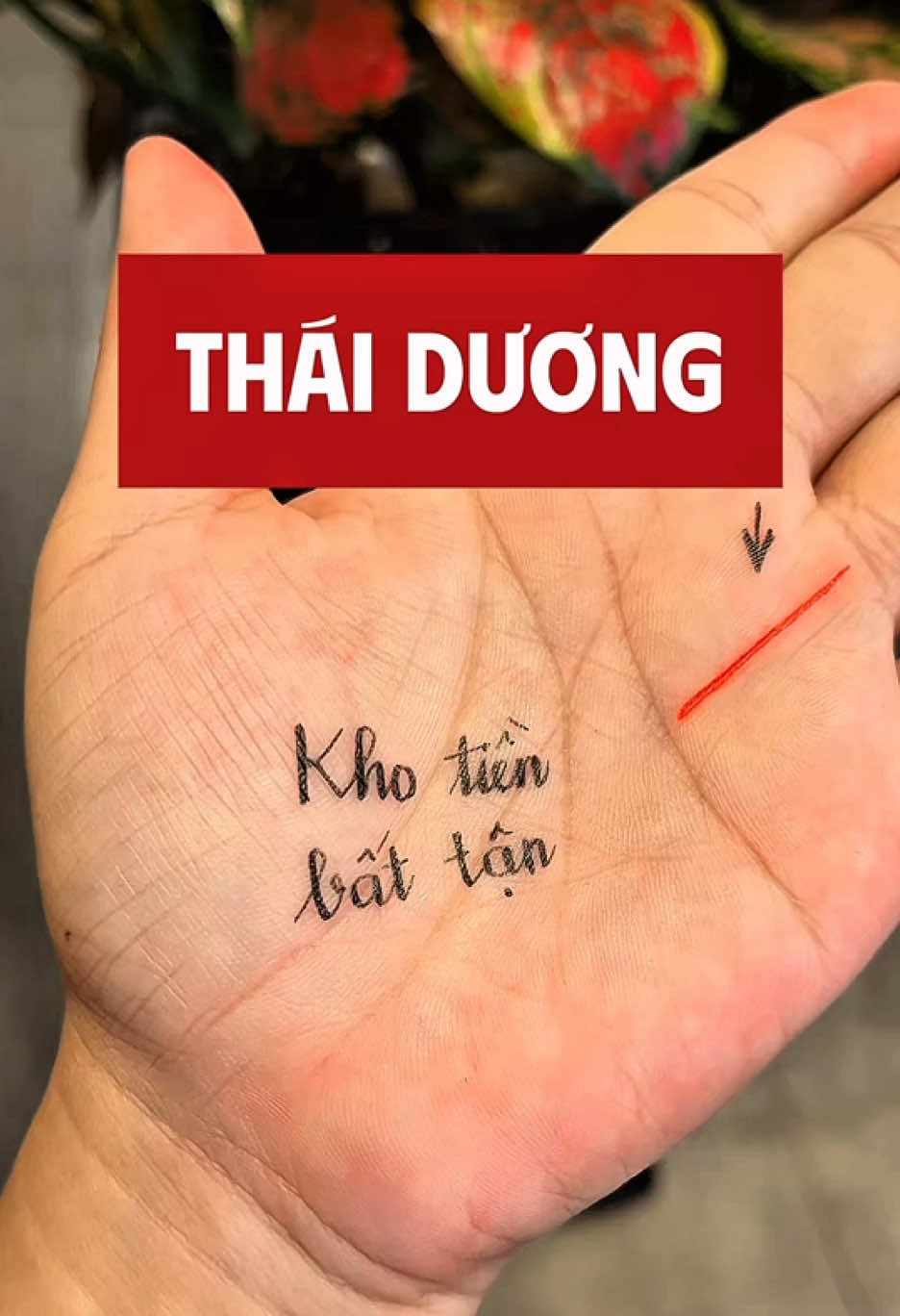 Thái Dương - Kho tiền bất tận #coutxemtay 