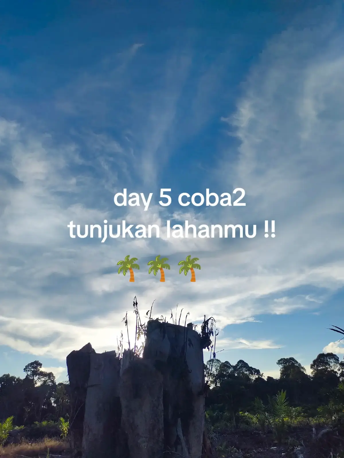 Cara Pemupukan Sawit 1. *Penentuan dosis pupuk*: Dosis pupuk yang tepat harus ditentukan berdasarkan analisis tanah dan kebutuhan tanaman sawit. 2. *Waktu pemupukan*: Pemupukan sebaiknya dilakukan pada saat tanaman sawit membutuhkan unsur hara tertentu. 3. *Cara aplikasi pupuk*: Pupuk dapat diaplikasikan dengan cara ditabur atau disiramkan ke tanah sekitar tanaman sawit. Manfaat Pemupukan Sawit 1. *Meningkatkan produktivitas*: Pemupukan yang tepat dapat meningkatkan produktivitas tanaman sawit. 2. *Meningkatkan kualitas buah*: Pemupukan yang tepat dapat meningkatkan kualitas buah sawit. 3. *Meningkatkan ketahanan tanaman*: Pemupukan yang tepat dapat meningkatkan ketahanan tanaman sawit terhadap penyakit dan stres lingkungan. Dengan melakukan pemupukan yang tepat, Anda dapat meningkatkan produktivitas dan kualitas tanaman sawit Anda. #fyp #foryoupage #petanisawit #petanimuda #petaniindonesia🇮🇩🇮🇩🇮🇩🌿🌿 
