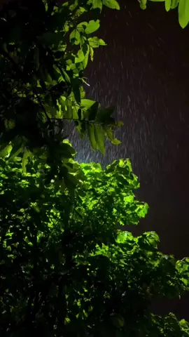 الآية التي تُعتبر مثالاً على اختزال قانون رباني عظيم هي قول الله تعالى في سورة الإسراء: 