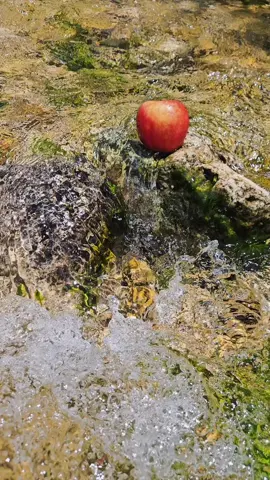 apple #apple 