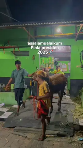 Alhamdulillah dalam 3 tahun edisi bisa tampil berturut-turut🤲🙏🚀 #stellbalap#kerapansapimaduerajawatimur #kerapansapimadura #kerapansapitradisimadura #madurapride🔥 