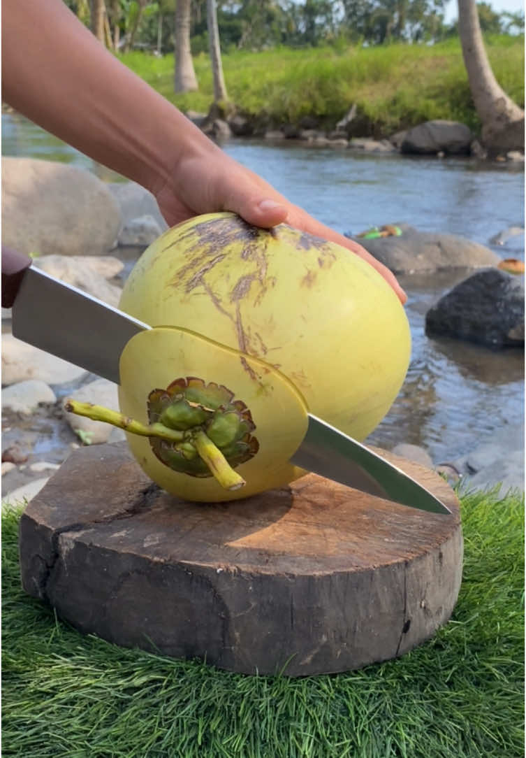 ASMR COCONUT CUTTING #CoconutCutting #CoconutChallenge #CuttingCoconut #CoconutVibes #CoconutArt #SliceTheCoconut #CoconutSkills #SharpCutCoconut #CoconutSliceChallenge #TropicalCut #CuttingCoconut #CoconutReels #pisaudapur #pisautramontina  #SatisfyingCut #TropicalVibes #FreshCoconut #CoconutLovers #DailyReels 
