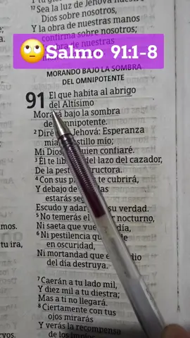 Salmo 91:1-8#jesus #biblia #salmo91 #bibliasagrada #oraciones 
