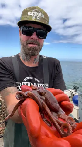 Baby Octopus #fishing #friendliestcatch #commercialfishing 