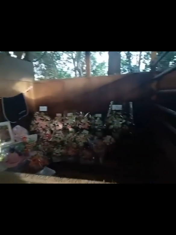 Haru Urara 😭😭😭 