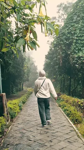 Jalan Candi Arjuna, Dieng_Banjarnegara😍 #fyp #dieng #candiarjunadieng #f4u #masukberanda 