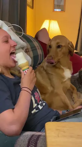 How does your dog eat ice cream? Haha #dog #dogs #funnydog #cutedog #fyp #foryou #dogsoftiktok #icecream