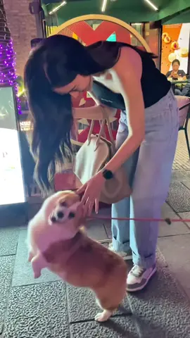 HAPPY Ling สุดได้เติมน้องม๋าาา🐶🥰 #LINGxZhaoriweipinEvent #Linglingkwong #หลิงหลิงคอง 