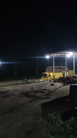 #masukberandafyp #stylejambi #truksawit #trukmaniaindonesia #fypag 