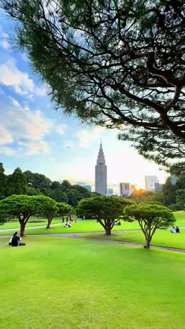 Shinjuku Gyoen National Garden (新宿御苑), one of Tokyo’s loveliest green spaces: Overview & History • Shinjuku Gyoen was originally the   private mansion grounds of the Naitō family, daimyo during the Edo period.  • In 1906 it was converted into an imperial garden under the Meiji government.  • After World War II, it was opened to the public (officially in 1949) as a national garden.  What Makes It Special • The garden is about 58.3 hectares (≈ 144 acres) and has a circumference of ~3.5 km.  • It uniquely blends three styles of garden design:   1.	Japanese traditional garden — with ponds, bridges, islands, a tea house, carefully pruned trees.    2.	French Formal garden — symmetrical flower beds, paths, formal layouts.   3.	English Landscape / Western-style areas — open lawns, more natural/relaxed layouts, vistas. .                 	•	There’s also a greenhouse (rebuilt in 1950) housing over 1,700 tropical and subtropical plant species.  	•	Trees: over 20,000 trees in total, including ~1,500 cherry trees.  	•	It’s famous as a hanami (cherry blossom viewing) spot. The cherry trees bloom in stages: some earlier (weeping varieties), then Somei-yoshino, followed by later bloomers like Kanzan toward late April.  Location / Access	Address: sinjuku Gyoenmae (Marunouchi Line), Sendagaya (JR Chūō-Sōbu Line), etc.  Entrances	Three main gates: Shinjuku Gate, Okido Gate, Sendagaya Gate.  Opening hours	Varies by season. 9:00-16:30 (Oct-Mar), longer hours in spring/summer.  Closed days,Generally closed on Mondays (or the next weekday if Monday is a holiday), and during New Year’s from Dec 29 to Jan 3.  During cherry blossom season (Mar 25-Apr 24) and fall chrysanthemum season (Nov 1-15), it is open every day.  Admission	Adults ~ ¥500, students  ¥250; children (junior high or under) free. Best Times to Visit & Tips •	Spring (late March to mid-April): Cherry blossoms—peak times are very busy. Some days require advance reservations during the busiest weekends.  •	Autumn (early November): Fall foliage and chrysanthemums. A beautiful second peak of color.  •	Avoid Mondays (unless special periods), and check for any closures.  •	Give yourself enough time: walking around the full garden, stopping at the greenhouse, stopping for tea, photos, etc., might take 2-3 hours or more. 