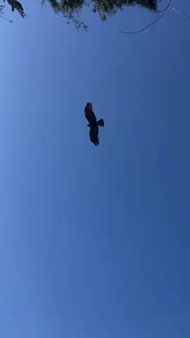 2 sisi sudut pandang #buriedalive #avengedsevenfold #laguviral #fyp 