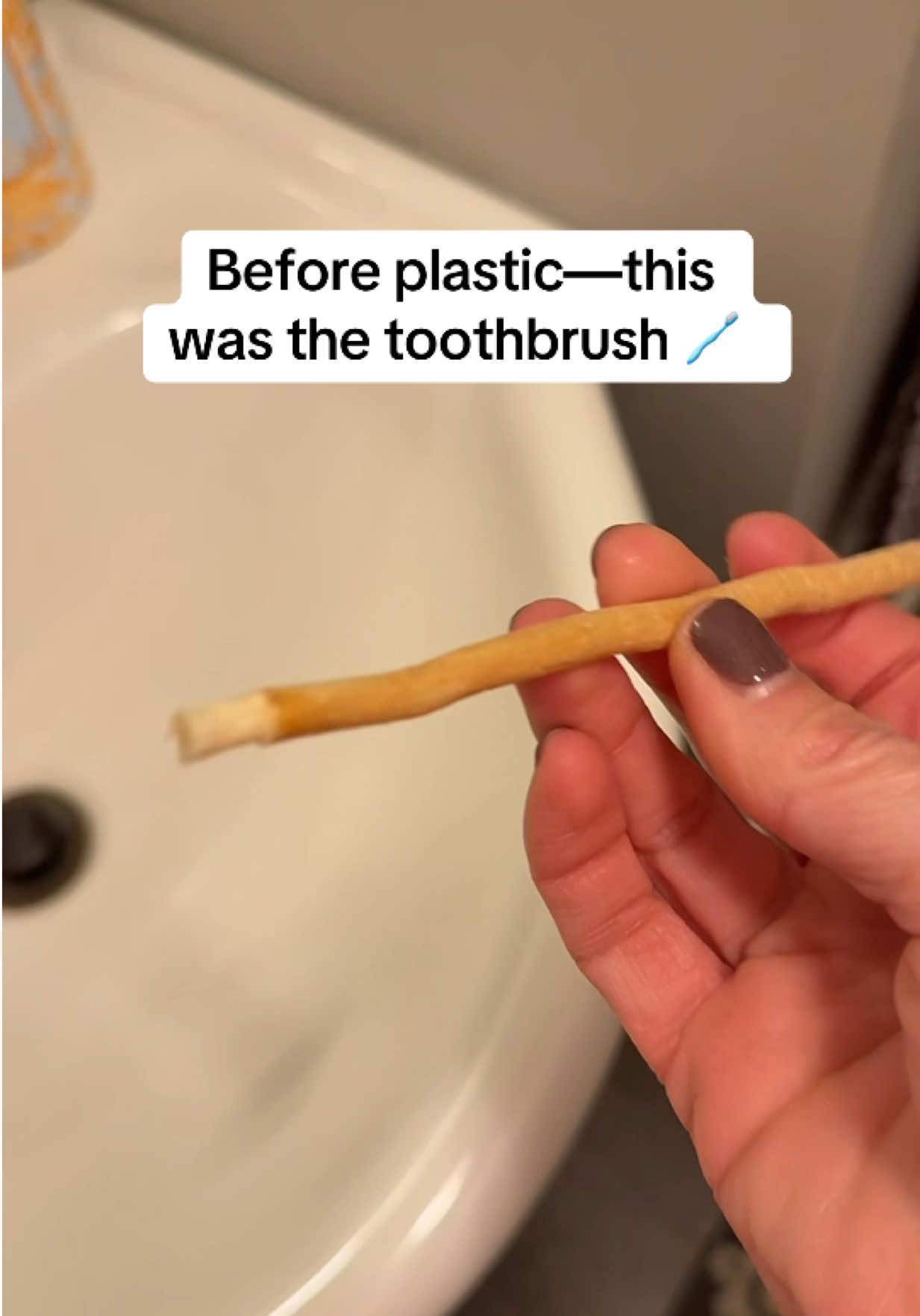 Sewak natural toothbrushes are eco-friendly, biodegradable, and centuries-old in tradition. A simple, effective way to clean your teeth—naturally. #SewakToothbrush #NaturalOralCare #EcoFriendlyLiving #SustainableLifestyle #HolisticHealth