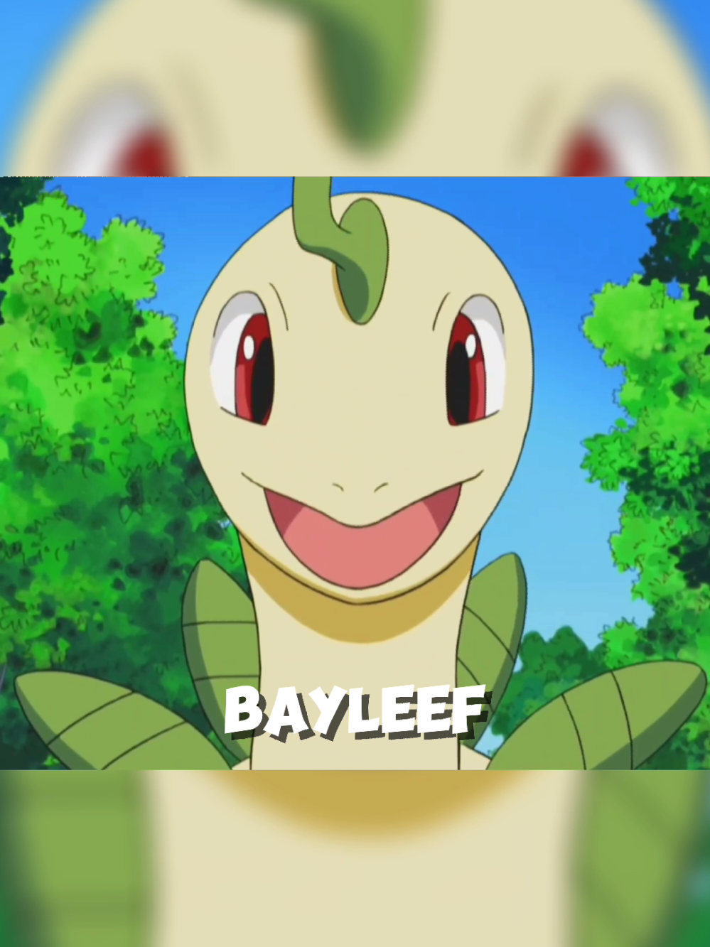 Ash's Bayleef: From Chikorita to TRUE LOVE! #bayleef #ash #pokemon #pokemoncommunity #creatorsearchinsights 