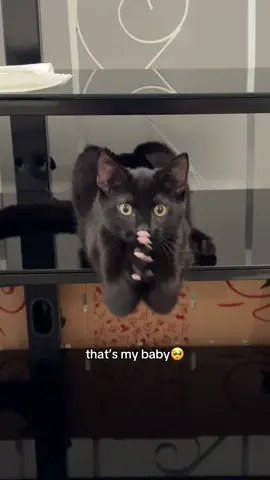 well… almost every time🙄 #cats #foryou #catsoftiktok #funnycat #blackcat 