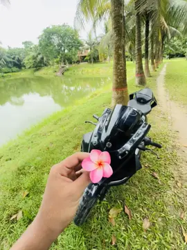 🥺❤️‍🩹 #foryou #viral #foryoupage #viralvideo #trending 