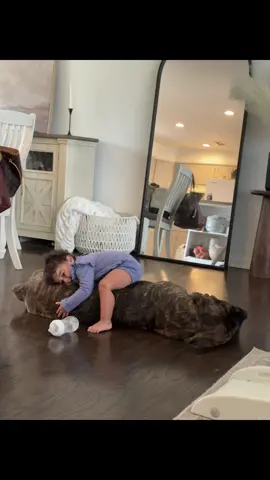 I will never get over the bond these two have 🩷 he is the best boy ever #italianmastiff #canecorsoandbaby #canecorsoarethebest #pittsburgh #theadventuresofgunner 