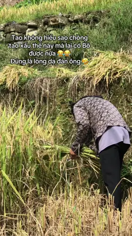 #xuhuong 