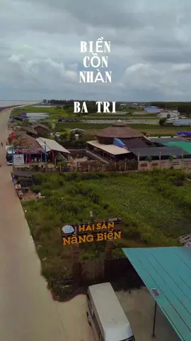 Cồn nhàn ba tri #cồnnhanbatri #quêhươngtôi #bếntre71 #viralvideo #xh 