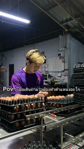 ทำงานอะไรส่งไข่ครับ#ไข่ล้านสุข #เทรนด์วันนี้ #หันคา_ชัยนาท @แม่มณีรัตน์ ค้าไข่ #วัยรุ่นขายไข่🥚🐣 