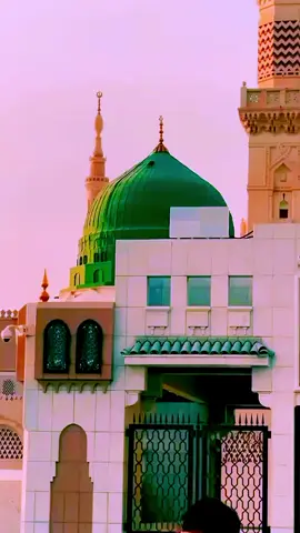 #creatorsearchinsights 