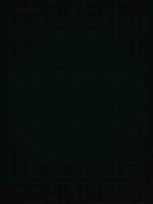 ปั้นธุรกิจให้เติบโตด้วยโฆษณา TikTok