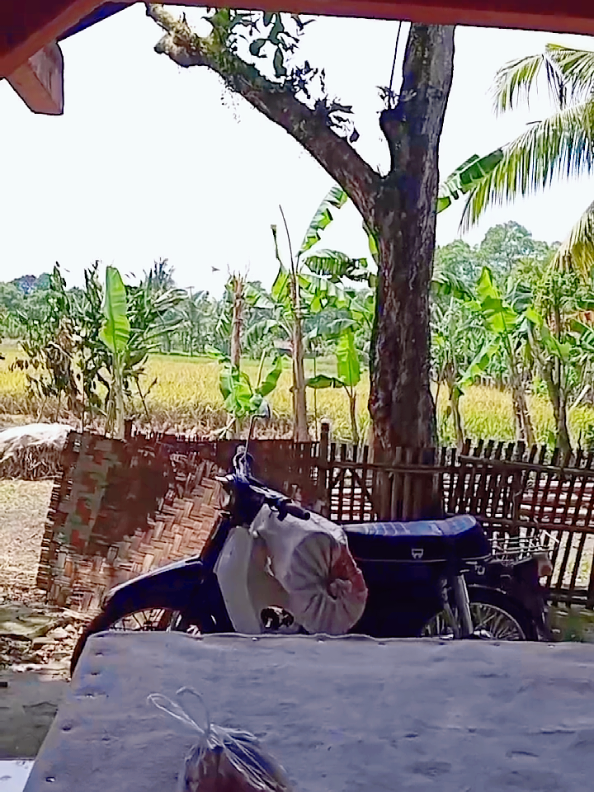 #kobongsalafy #kobong 