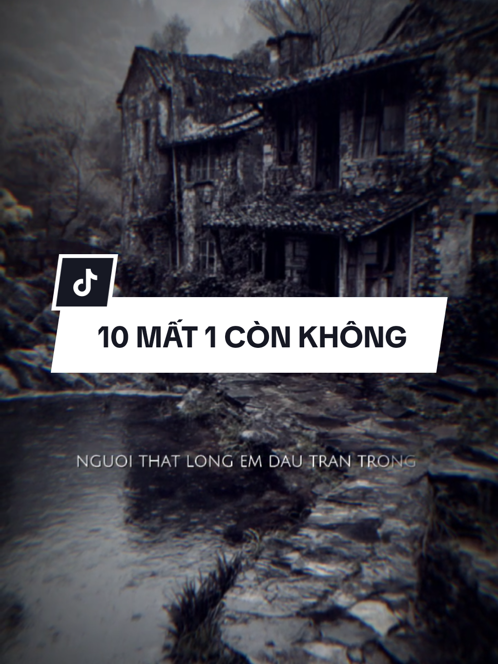 #CapCut Người thật lòng em đâu trân trọng chạy theo những thứ ảo vọng - 10 Mất 1 Còn Không Remix #capcutpioneer #pioneertemplate #péchúc #leontapedit🎬 