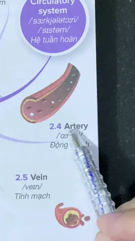 #tuvungtienganh #tienganhgiaotiep #fyppppppppppppppppppppppp 