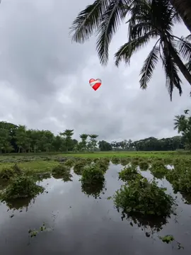 😅#viraltiktok #trending #viraltiktok #viraltiktok #viraltiktok 