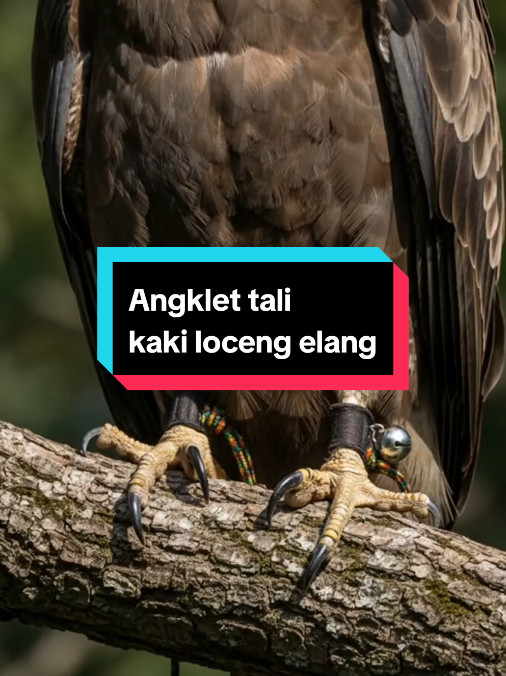 Angklet tali kaki loceng elang
