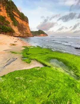 Ayo mas pesen homestay apa tenda #pantaibuyutan #buyutanvillage #wonderful #fyppppppppppppppppppppppp #fypシ゚viral🖤tiktok 