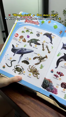 POV: ¡Adiviné bien otra vez! 🙌 ¡Este libro parlante me hace sentir un genio! #baby2025 #toys #kidstoys #educational #giftfortoddlers 