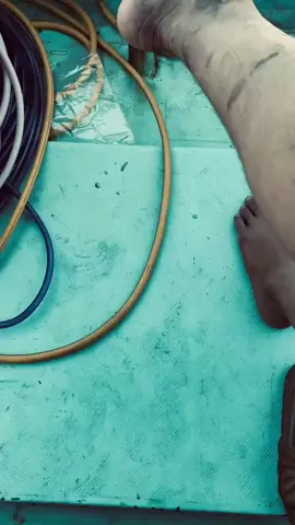 #danbien86 #xuhuongtoktok 