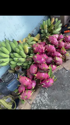 Mùa thay long nhà có sẵn hàng cho chiến binh 