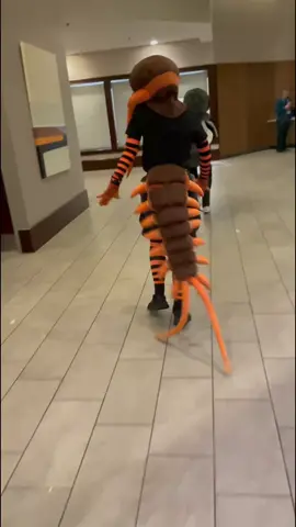 Who said bugs have to stay outdoors?  . . Snax the Fly @Lazuli  Relic the Centipede (Me)  . . #bewhiskered2025 #cochayuyocreations  #centipede 