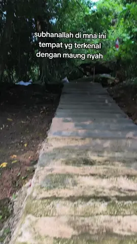 subhanallah kesmpean zeraha ke tempat karomah gunung anten #fypシ #Fyf #ForYou #kajianislam #Zarah 