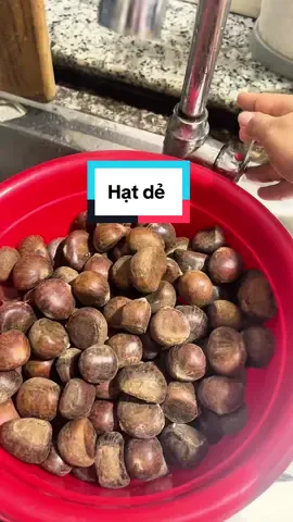 Hạt dẻ tươi #tienshop #hatde #hatdetuoi #xuhuong #thinhhanh 