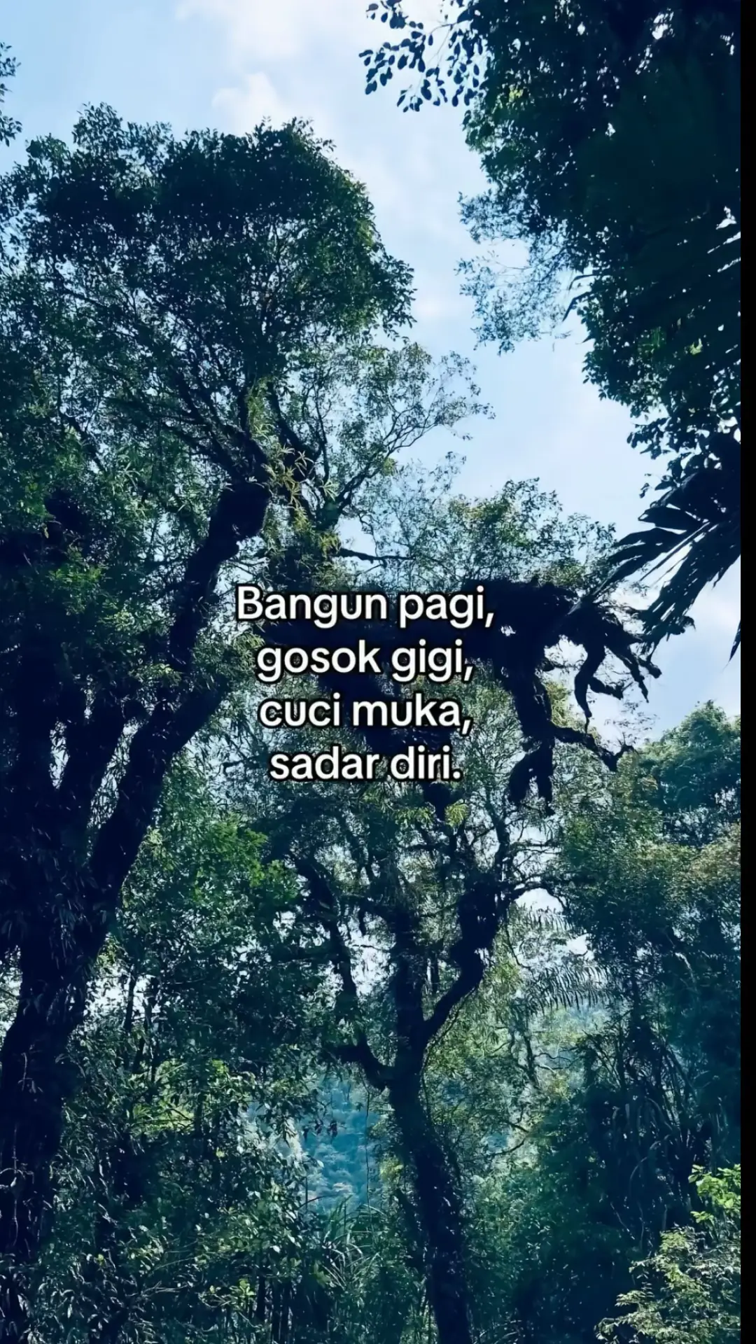 duhh euy