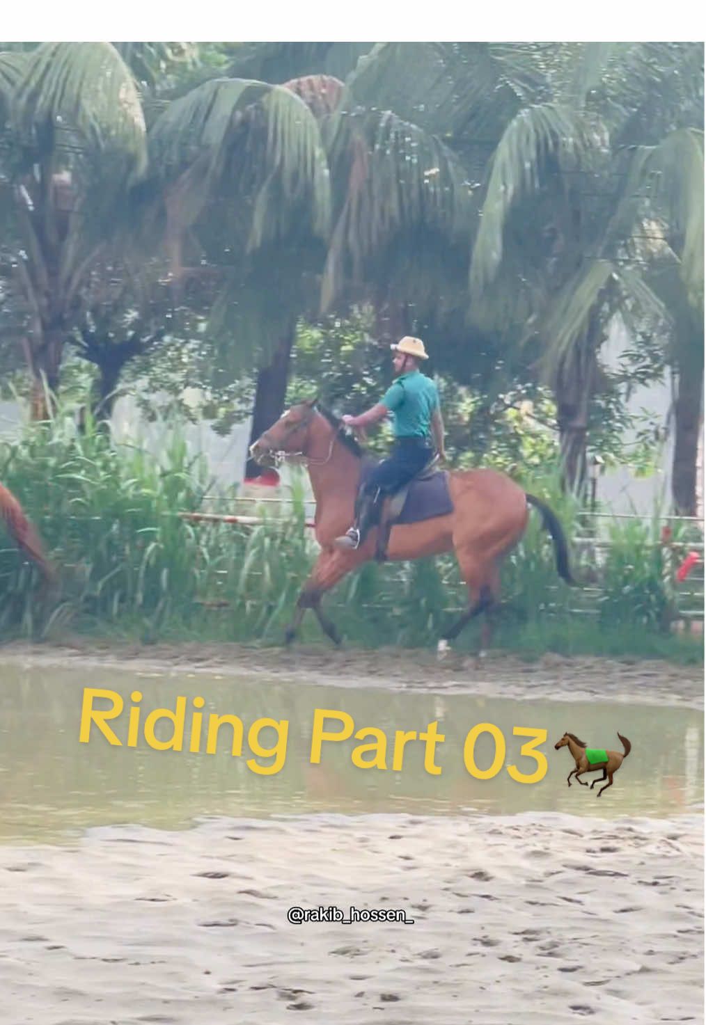 BADSHA 🐎 Riding video part 03 🎥 #fyp #foryoupage #horse #horseriding #horserider 