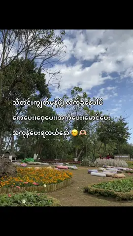လာပေးကြတော့😜#trending #fyp #foryoupage @Daddy Khant🦁 အချစ်တွေပေး🤭🫶🏻