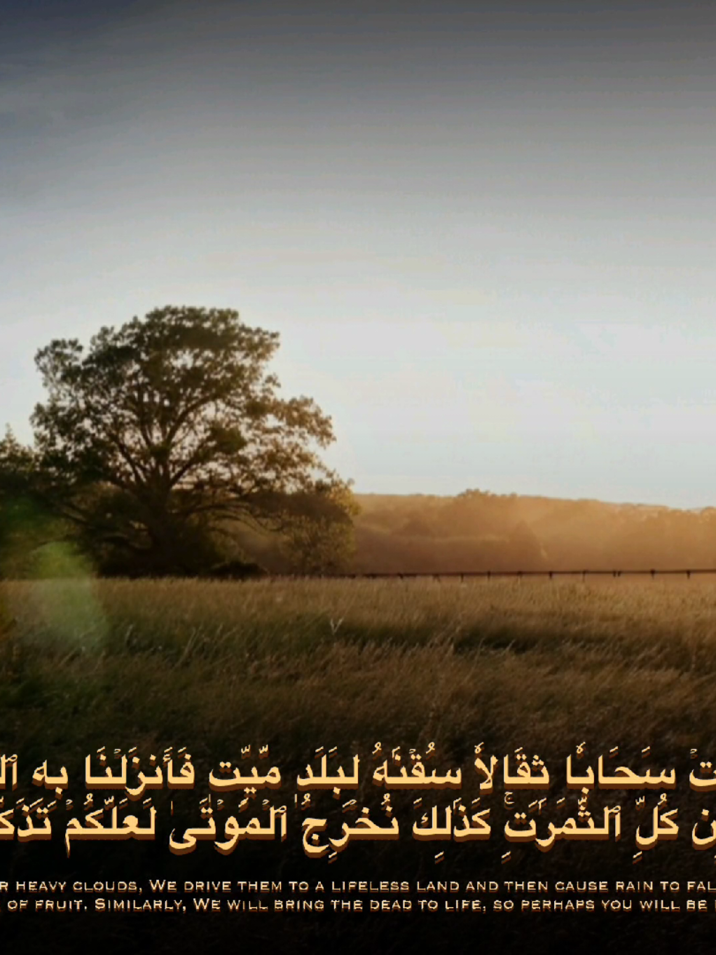 🤎. تلاوة للشيخ بندر بليلة محاكيًا الشيخ محمود خليل الحصري . . . #قران #quran 