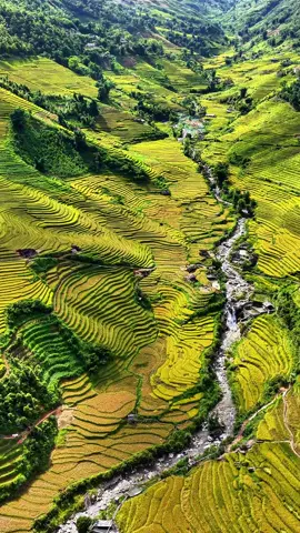 #cuộcsốngđammê❤️❤️❤️ 