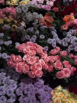 Mình không biết yêu chơi, đã yêu là yêu cẩn thận, yêu nghiêm túc.#fypシ #yeuhoa #flowers #trendflower #hoaxinh  