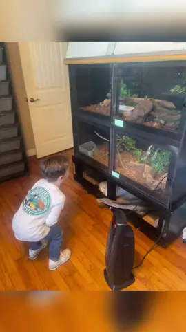 A conversation with our only grand boy, when he was THREE brought us here.  Our two oldest grands love the reptile house at our local zoo.  The grand boy most of all.  Before we jumped in, I took him to a friends house, who has a lot of sneks.  He LOVED it!   So meet Cornflake the “girl corn snake”.  Cornflake got new/bigger digs this weekend thanks to the aforementioned friend.  ❤️ Don’t tell anyone but Oma loves the snek every bit as much as the grands.  🤣 #grandchildren 